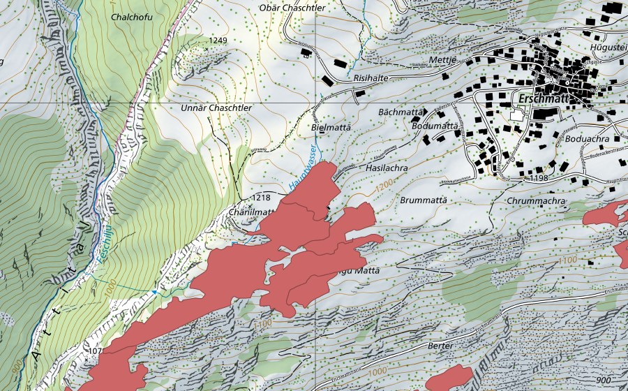 swisstopo national map showing the protected perimeter of Ober Rotafen (Dry meadow)