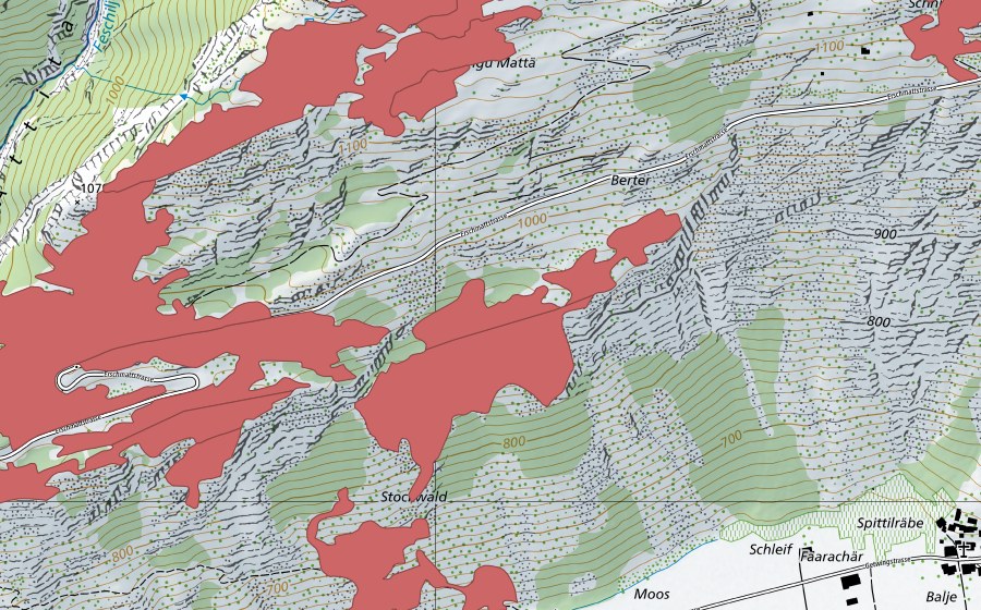 swisstopo national map showing the protected perimeter of Ober Rotafen (Dry meadow)