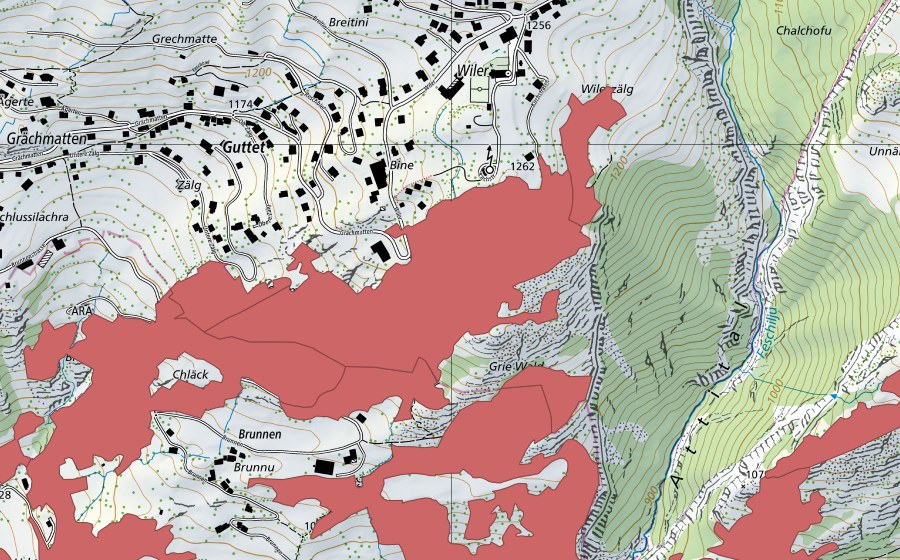 swisstopo national map showing the protected perimeter of Ober Rotafen (Dry meadow)