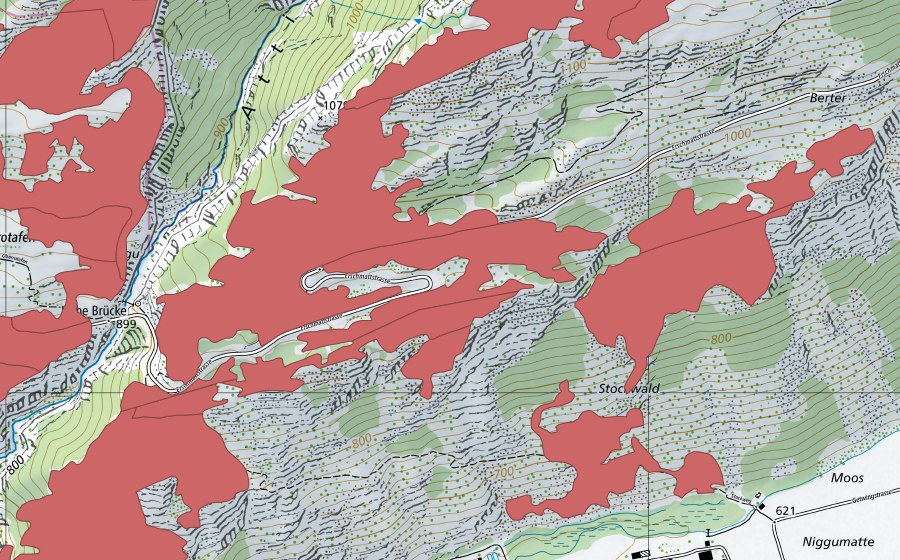 swisstopo national map showing the protected perimeter of Ober Rotafen (Dry meadow)