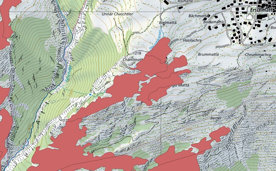Landeskarte swisstopo mit dem Schutzperimeter von Ober Rotafen (Trockenwiese)