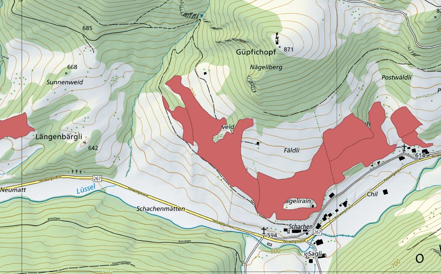 Carta nazionale swisstopo con il perimetro protetto di Oberbeinwil (Prato secco)