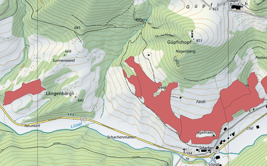 swisstopo national map showing the protected perimeter of Oberbeinwil (Dry meadow)