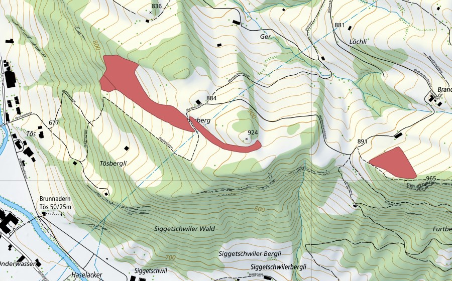 swisstopo national map showing the protected perimeter of Oberberg (Dry meadow)
