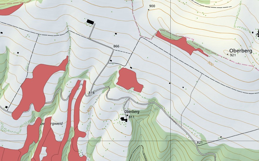 Landeskarte swisstopo mit dem Schutzperimeter von Oberbergmatten (Trockenwiese)