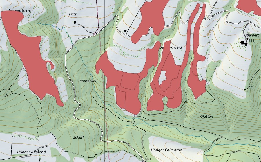 Landeskarte swisstopo mit dem Schutzperimeter von Oberbergweid (Trockenwiese)