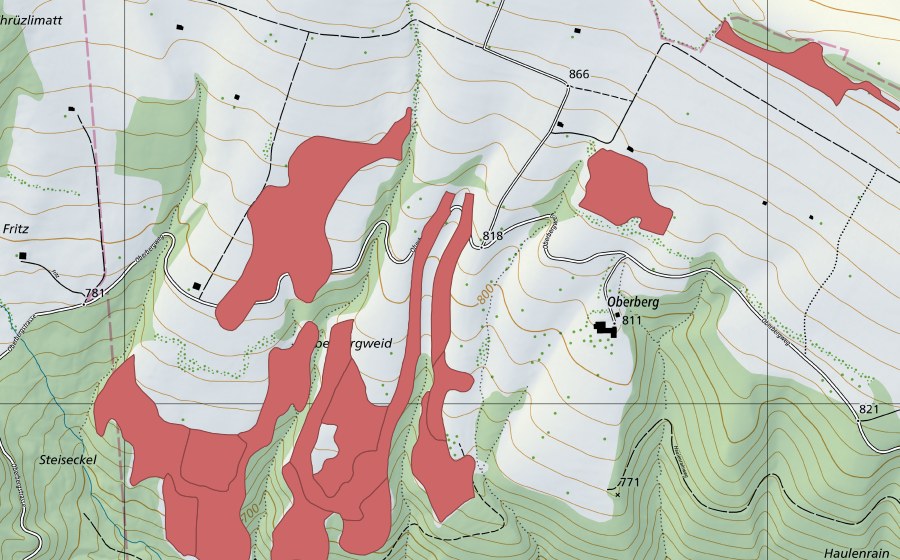 Landeskarte swisstopo mit dem Schutzperimeter von Oberbergweid (Trockenwiese)