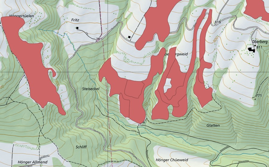 swisstopo national map showing the protected perimeter of Oberbergweid (Dry meadow)
