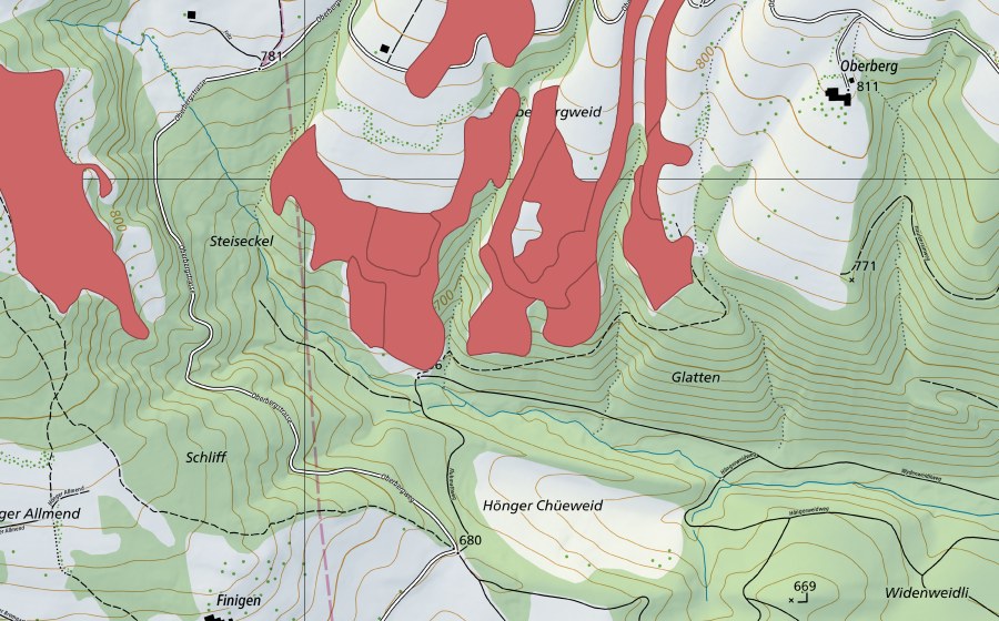 swisstopo national map showing the protected perimeter of Oberbergweid (Dry meadow)