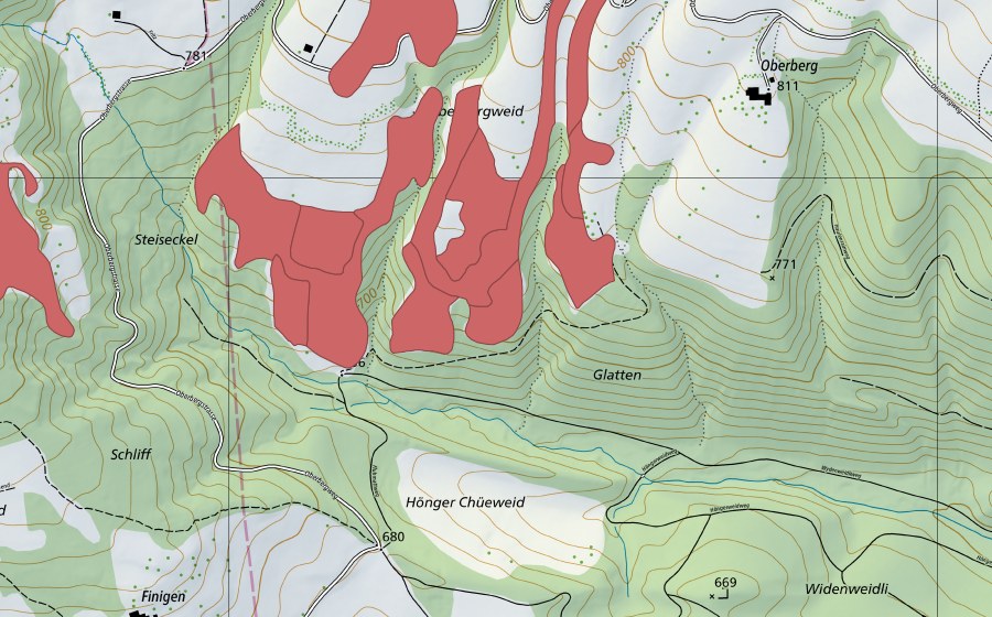 swisstopo national map showing the protected perimeter of Oberbergweid (Dry meadow)