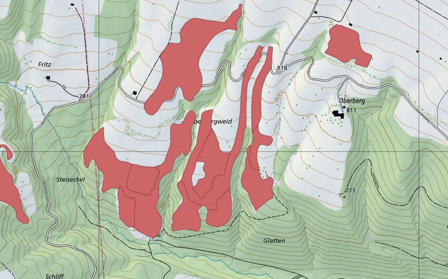 Landeskarte swisstopo mit dem Schutzperimeter von Oberbergweid (Trockenwiese)