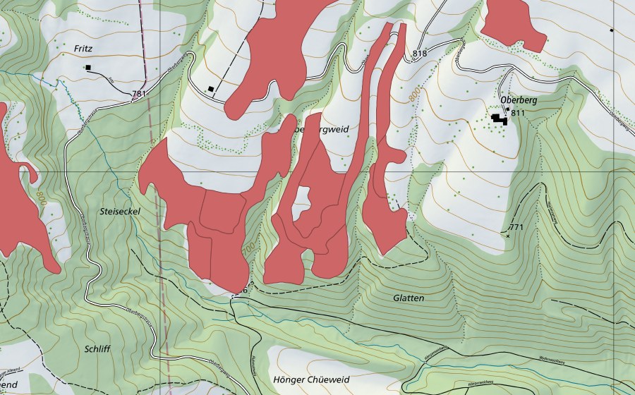 swisstopo national map showing the protected perimeter of Oberbergweid (Dry meadow)