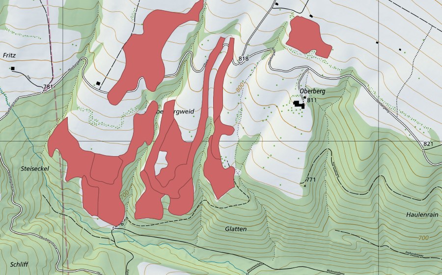 Landeskarte swisstopo mit dem Schutzperimeter von Oberbergweid (Trockenwiese)
