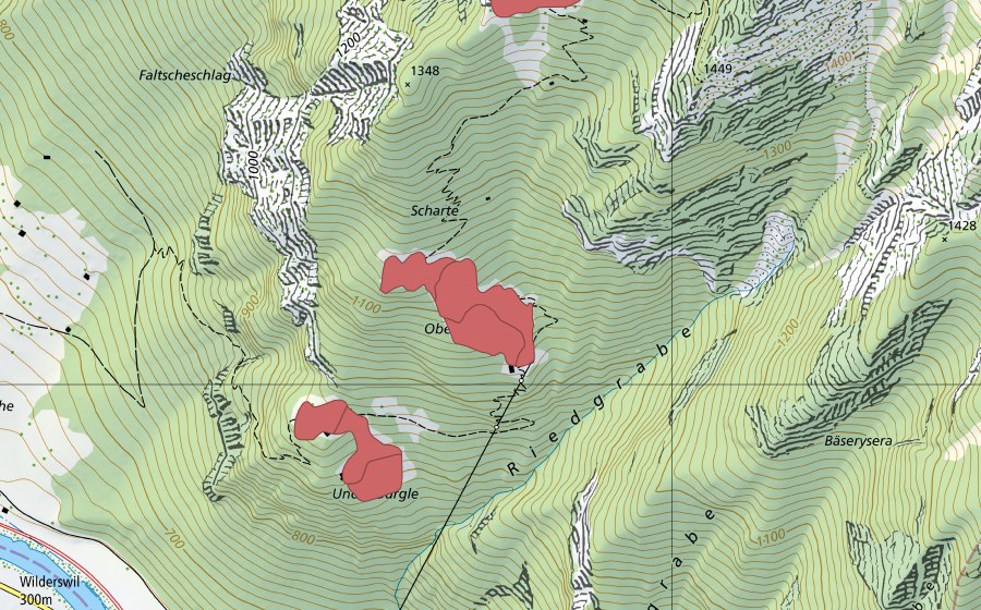 Landeskarte swisstopo mit dem Schutzperimeter von Oberbürgle (Trockenwiese)