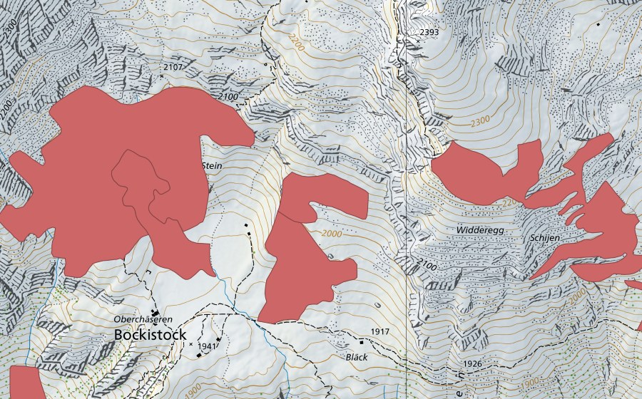 swisstopo national map showing the protected perimeter of Oberchäseren (Dry meadow)