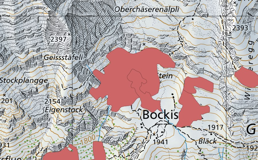 Landeskarte swisstopo mit dem Schutzperimeter von Oberchäseren (Trockenwiese)