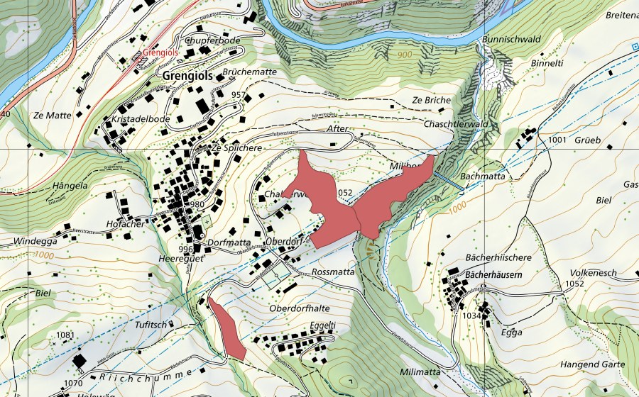 swisstopo national map showing the protected perimeter of Oberdorf (Dry meadow)