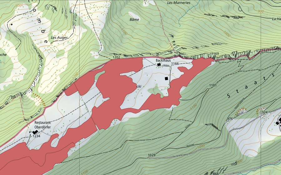 swisstopo national map showing the protected perimeter of Oberdörfer (Dry meadow)