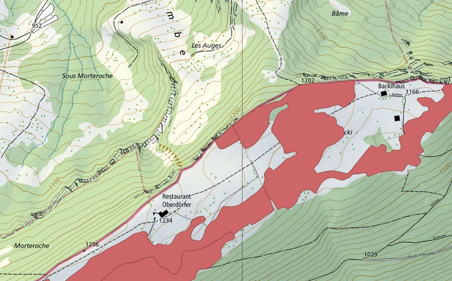 Landeskarte swisstopo mit dem Schutzperimeter von Oberdörfer (Trockenwiese)
