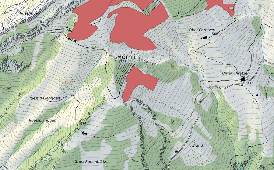 swisstopo national map showing the protected perimeter of Obere Ruessi (Dry meadow)