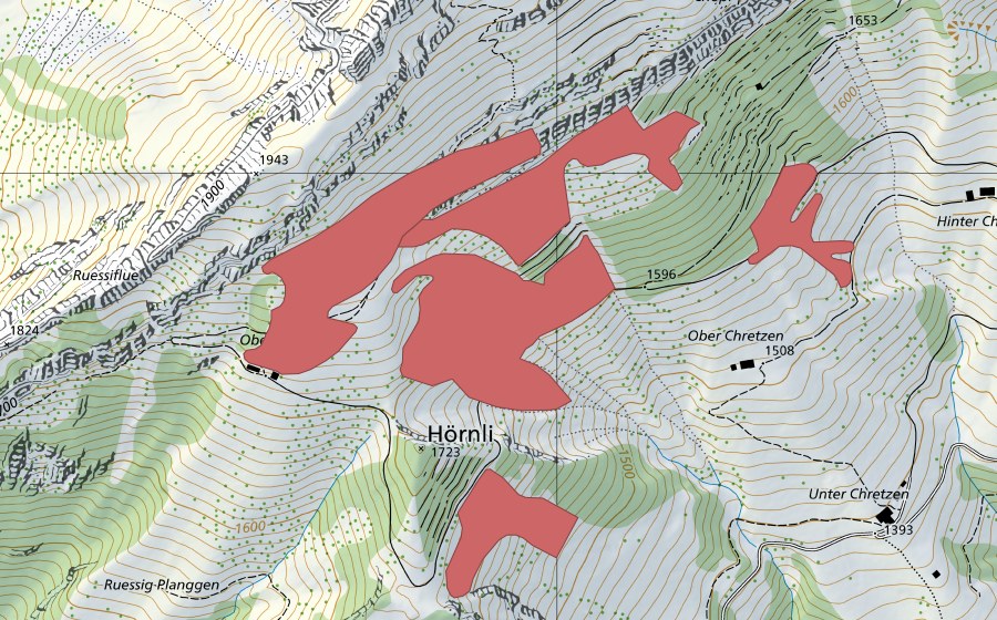 Landeskarte swisstopo mit dem Schutzperimeter von Obere Ruessi (Trockenwiese)