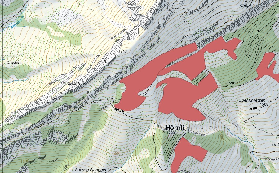 swisstopo national map showing the protected perimeter of Obere Ruessi (Dry meadow)
