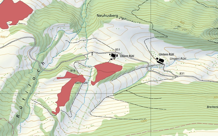 Landeskarte swisstopo mit dem Schutzperimeter von Obere Rüti (Trockenwiese)