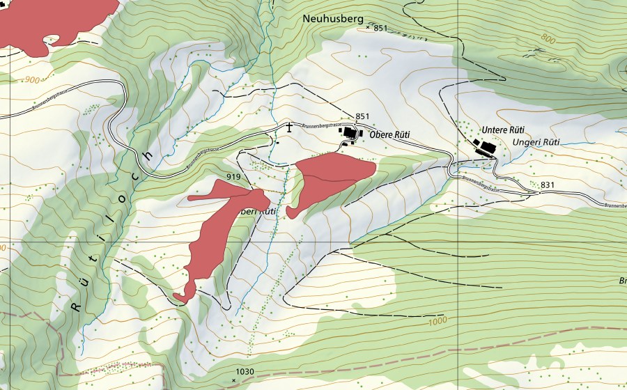 Landeskarte swisstopo mit dem Schutzperimeter von Obere Rüti (Trockenwiese)