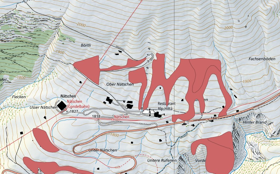 Landeskarte swisstopo mit dem Schutzperimeter von Oberer Nätschen (Trockenwiese)