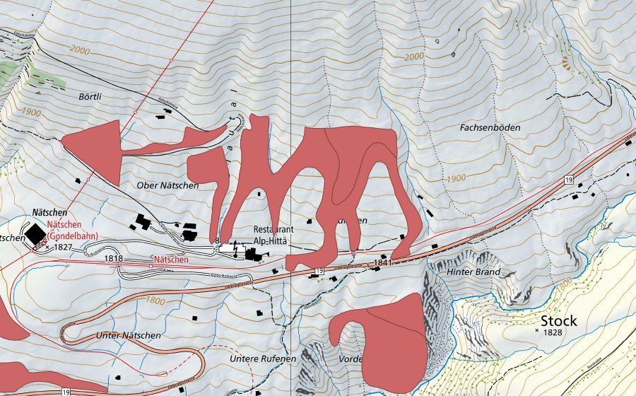 Landeskarte swisstopo mit dem Schutzperimeter von Oberer Nätschen (Trockenwiese)