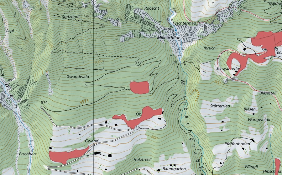 swisstopo national map showing the protected perimeter of Obermad (Dry meadow)
