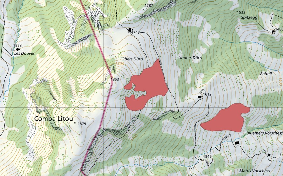 Landeskarte swisstopo mit dem Schutzperimeter von Obers Dürri (Trockenwiese)