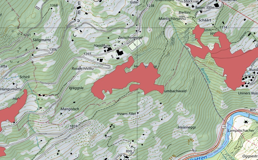 swisstopo national map showing the protected perimeter of Obers Filet (Dry meadow)
