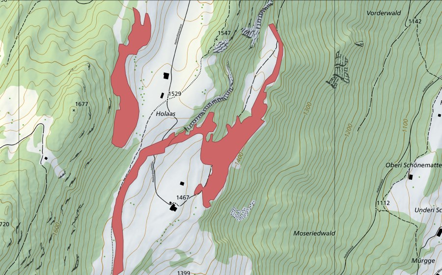 swisstopo national map showing the protected perimeter of Obers Holaas (Dry meadow)