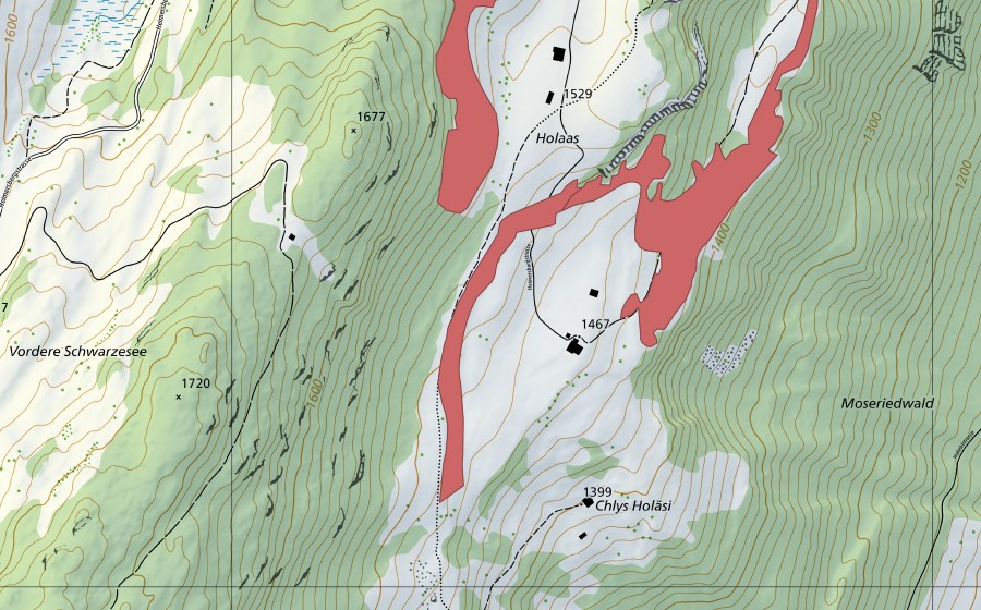 Landeskarte swisstopo mit dem Schutzperimeter von Obers Holaas (Trockenwiese)
