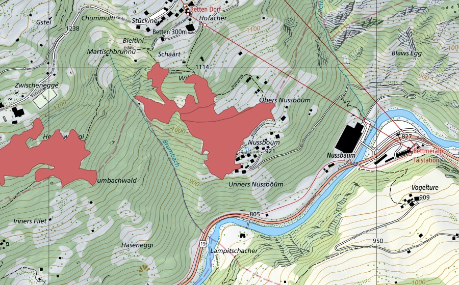 swisstopo national map showing the protected perimeter of Obers Nussböüm (Dry meadow)