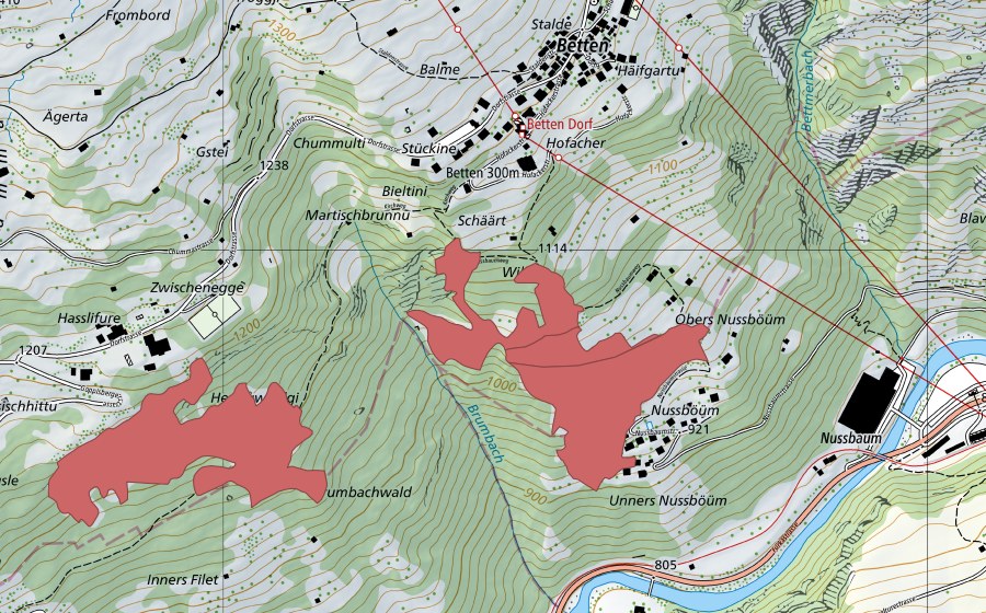 Carte nationale swisstopo avec le périmètre protégé de Obers Nussböüm (Prairie sèche)
