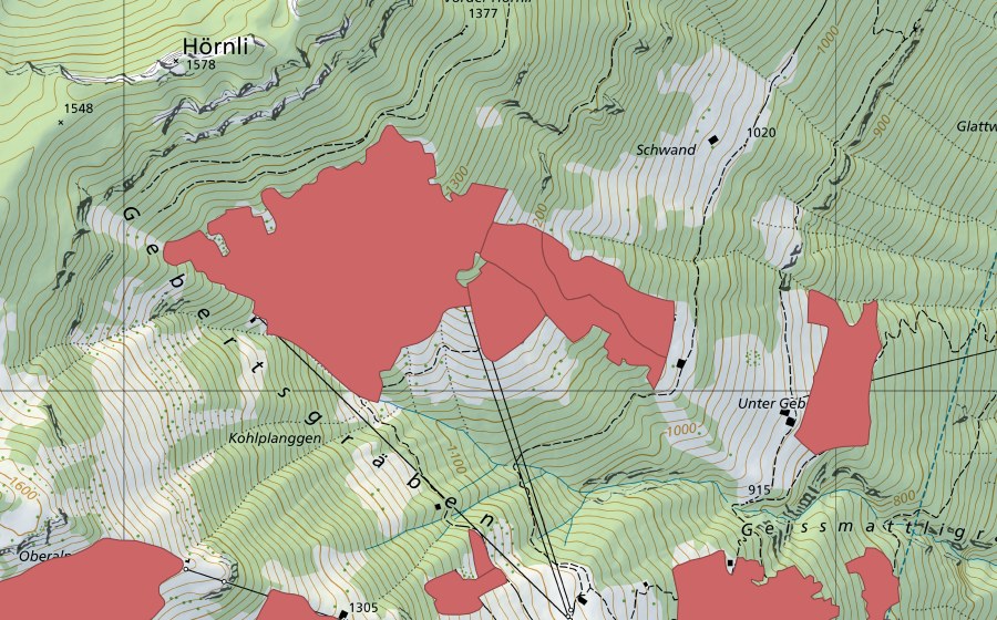 Landeskarte swisstopo mit dem Schutzperimeter von Oberst Geberts (Trockenwiese)