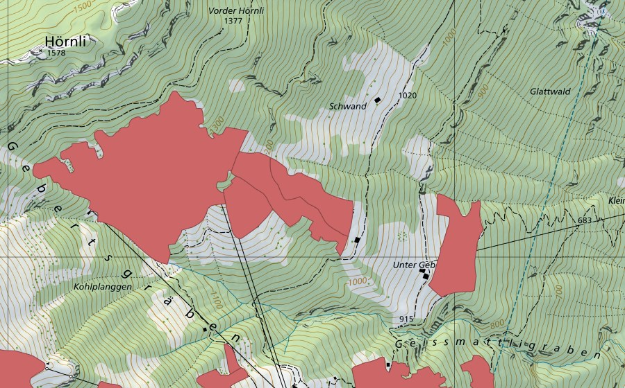 Landeskarte swisstopo mit dem Schutzperimeter von Oberst Geberts (Trockenwiese)