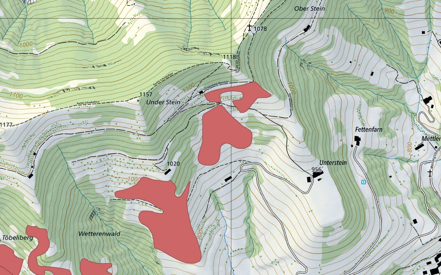 Landeskarte swisstopo mit dem Schutzperimeter von Oberstein (Trockenwiese)