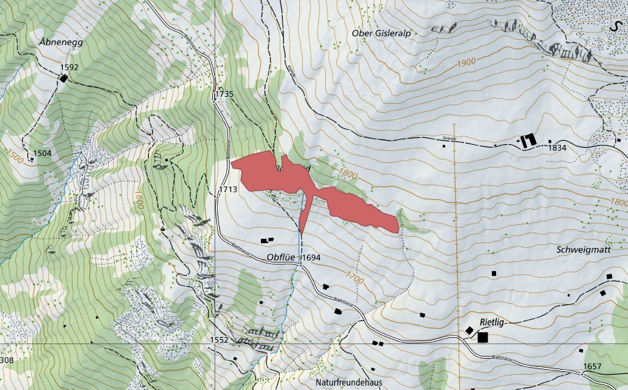 Landeskarte swisstopo mit dem Schutzperimeter von Obflüeweid (Trockenwiese)