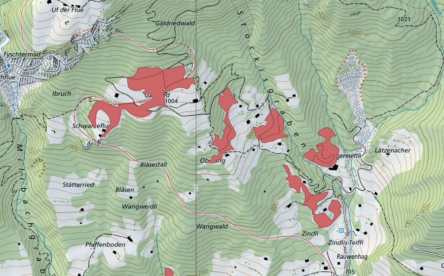 swisstopo national map showing the protected perimeter of Obwang (Dry meadow)