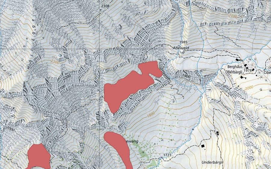 Landeskarte swisstopo mit dem Schutzperimeter von Ochsewang (Trockenwiese)