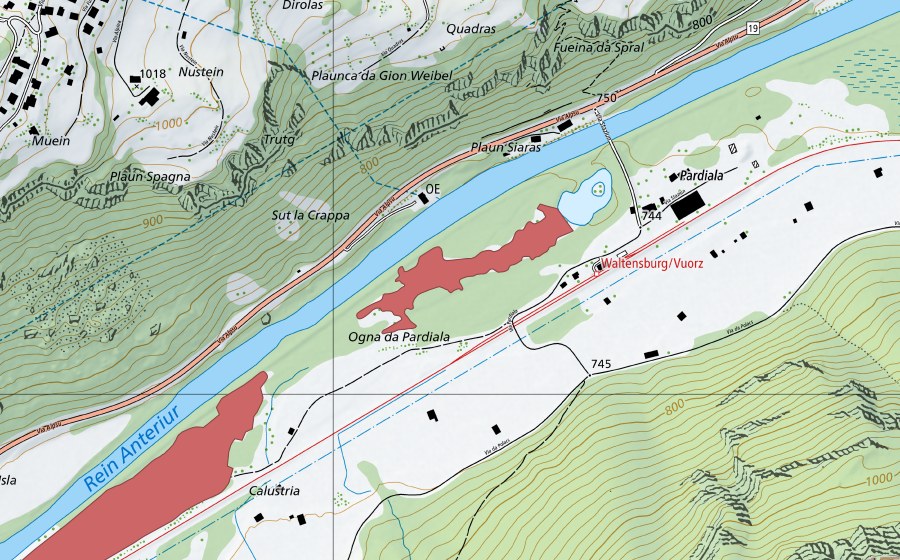 Landeskarte swisstopo mit dem Schutzperimeter von Ogna da Pardiala (Trockenwiese)