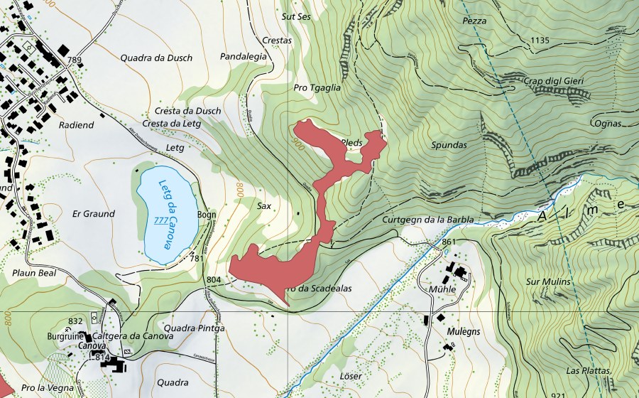 Landeskarte swisstopo mit dem Schutzperimeter von Ognas (Trockenwiese)