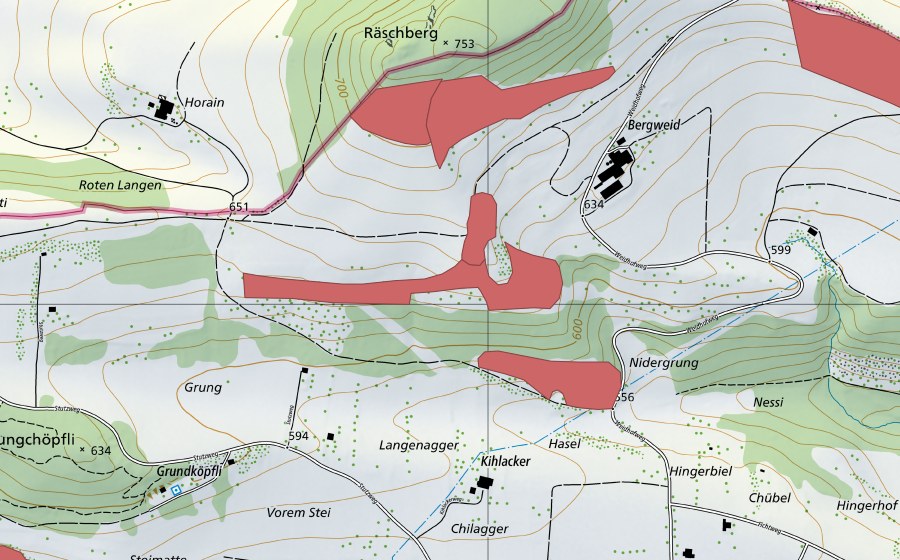 swisstopo national map showing the protected perimeter of Oltme (Dry meadow)