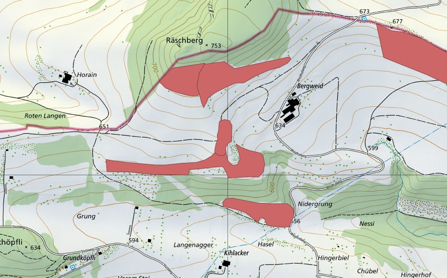 Landeskarte swisstopo mit dem Schutzperimeter von Oltme (Trockenwiese)