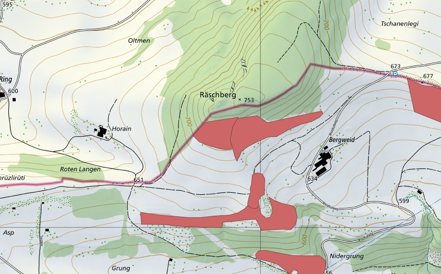 swisstopo national map showing the protected perimeter of Oltme (Dry meadow)
