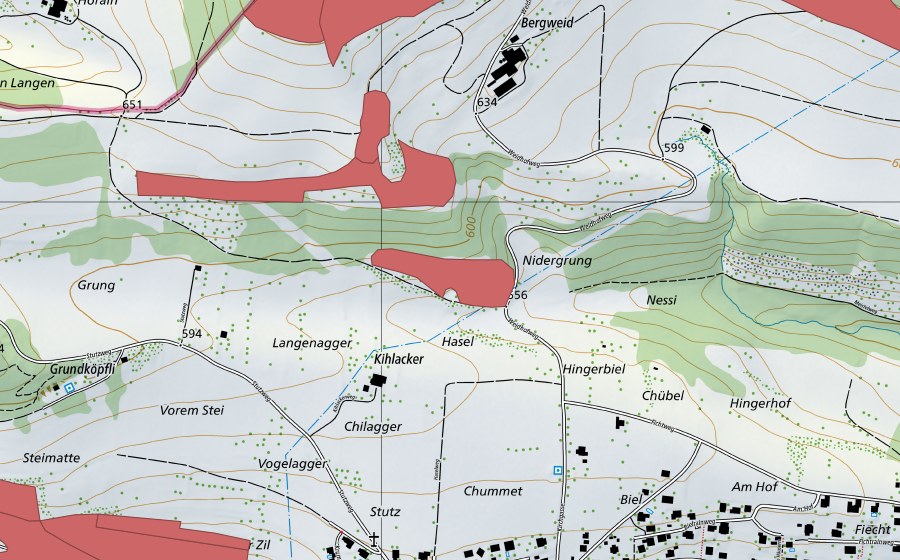 Carte nationale swisstopo avec le périmètre protégé de Oltme (Prairie sèche)