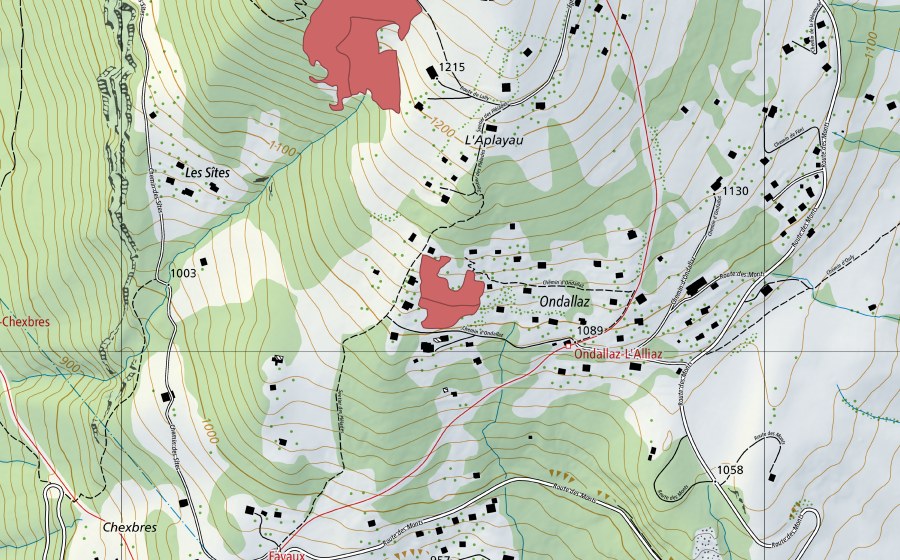 Landeskarte swisstopo mit dem Schutzperimeter von Ondallaz (Trockenwiese)
